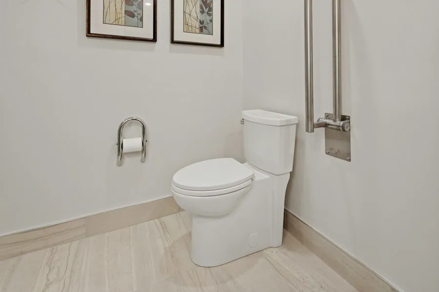 Glacier Bay Toilet Toilets